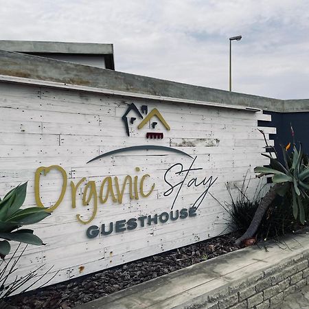 Organic Stay Guesthouse Swakopmund Esterno foto